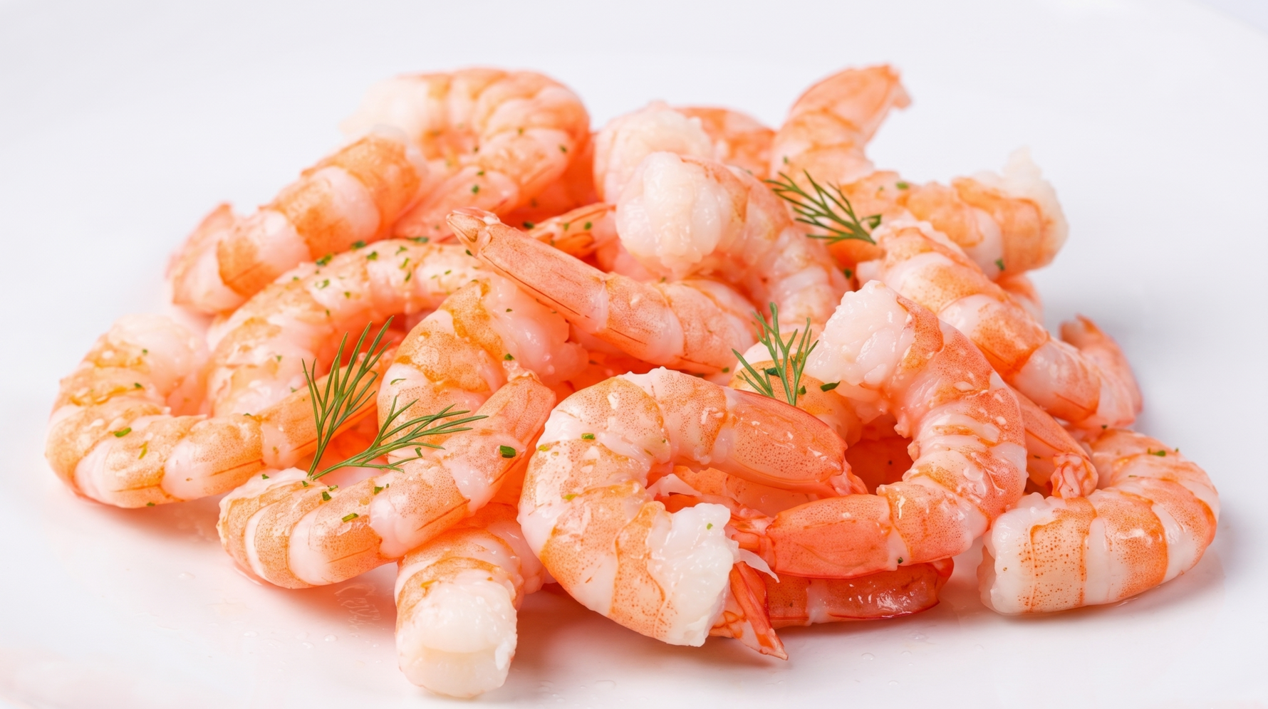 COOKED PRAWN MEAT 41/50 (1kg)