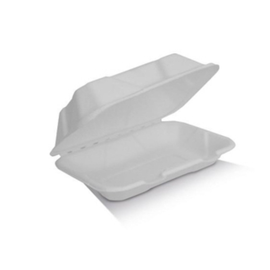 Regular Snack Box Sugarcane Box (250)