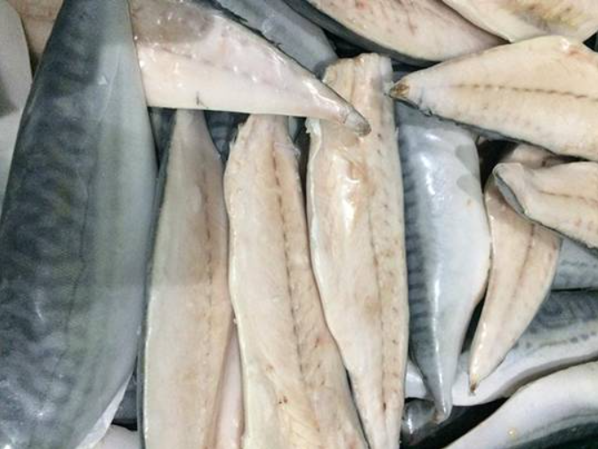Local Spanish Mackerel Fillet 10kg