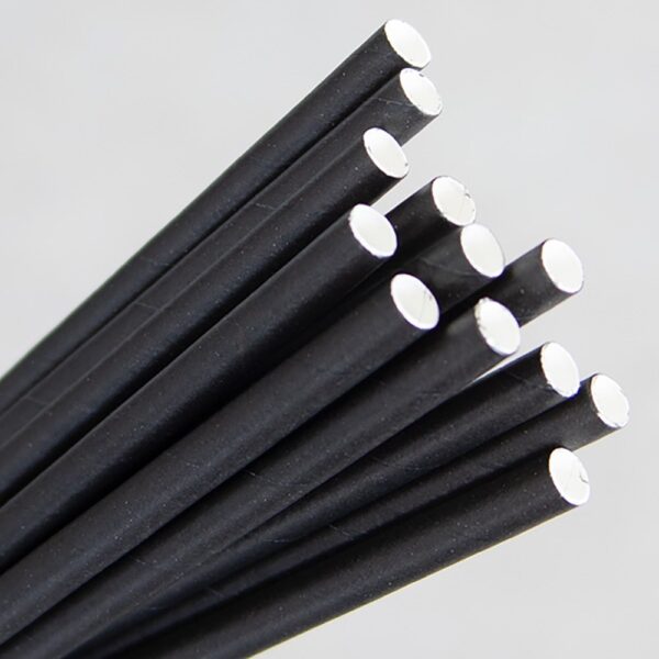 Regular Black Straw