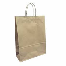 Carry Bag - Medium Twist Handle Paper 305x310x175